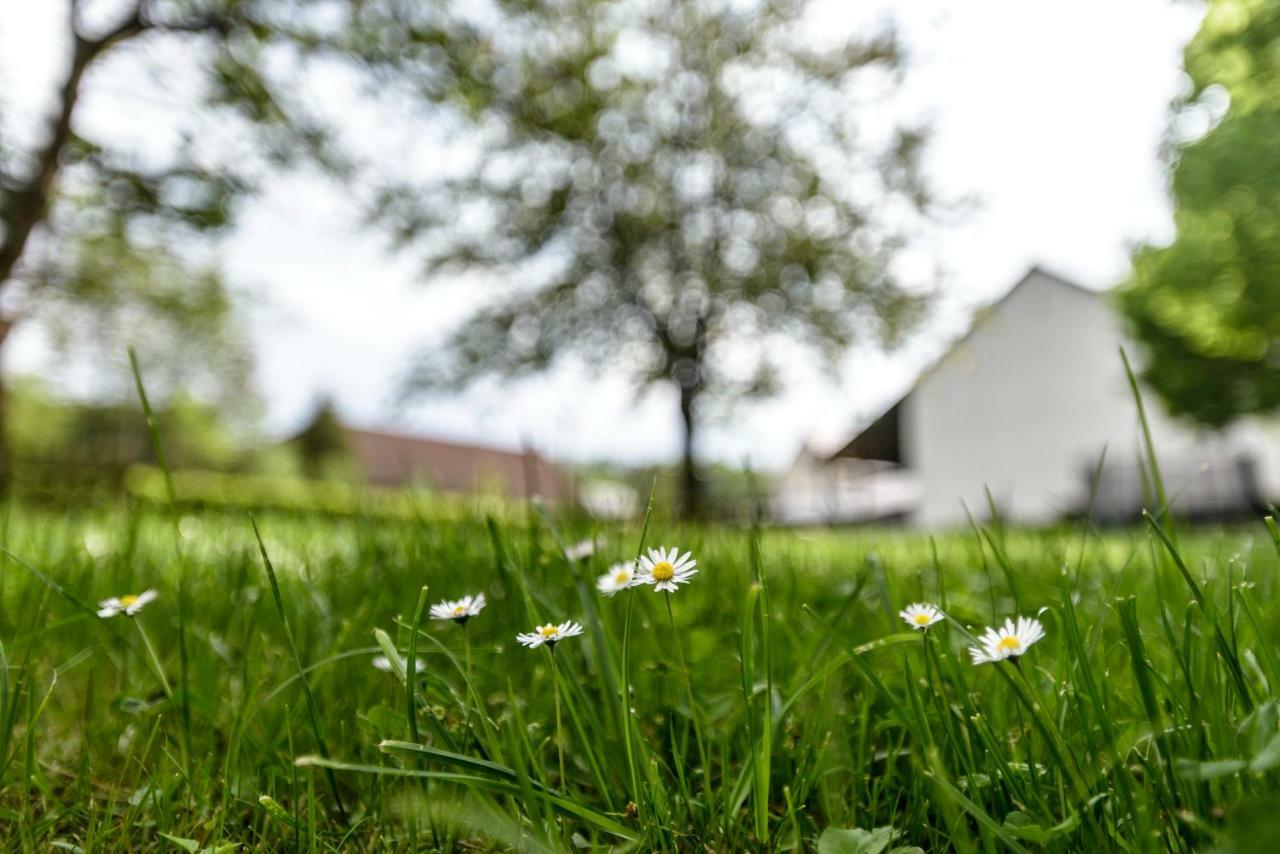 Nengshof Ferienwohnung Wildrose Wissmannsdorf Ngoại thất bức ảnh